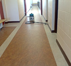 longwood national school